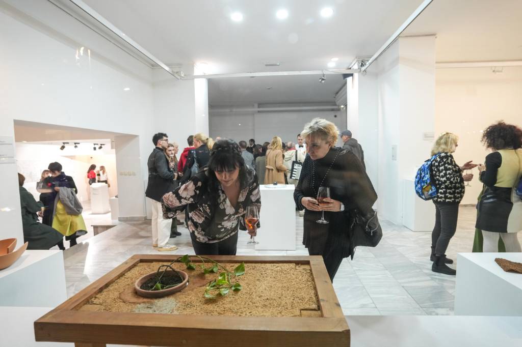 Galerija slika