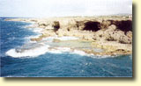 Galerija slika