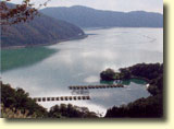 Galerija slika