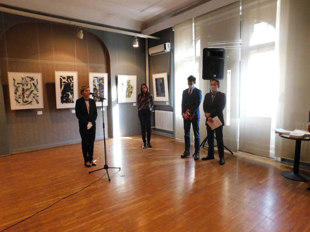 Galerija slika