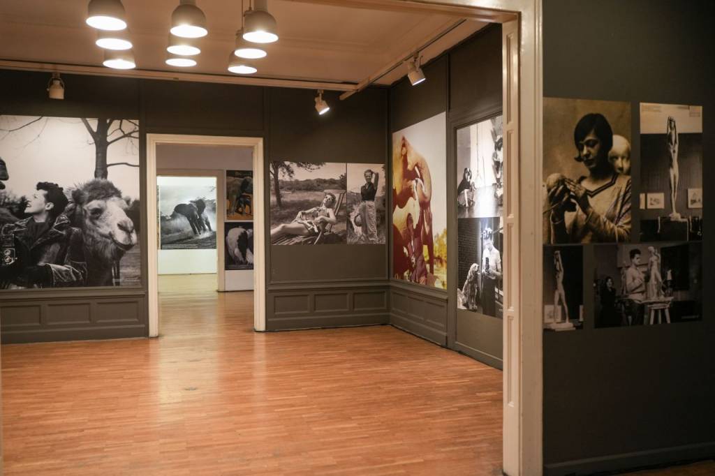 Galerija slika