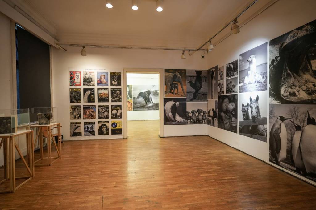 Galerija slika