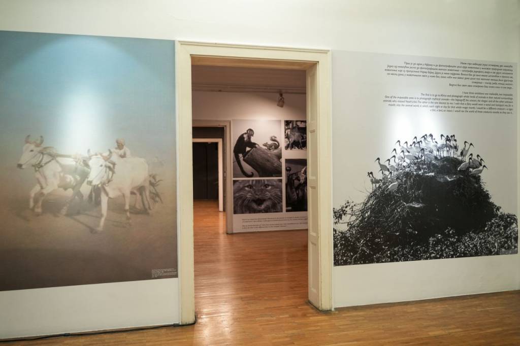 Galerija slika
