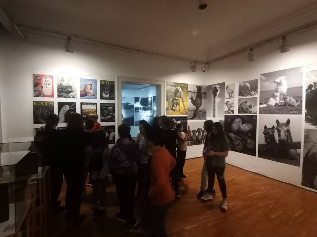 Galerija slika