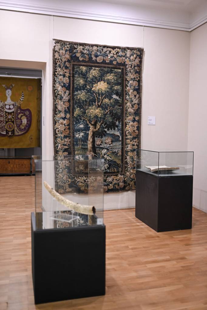 Galerija slika